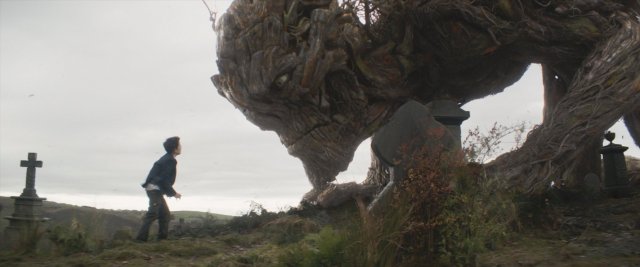 a monster sees eye to eye
